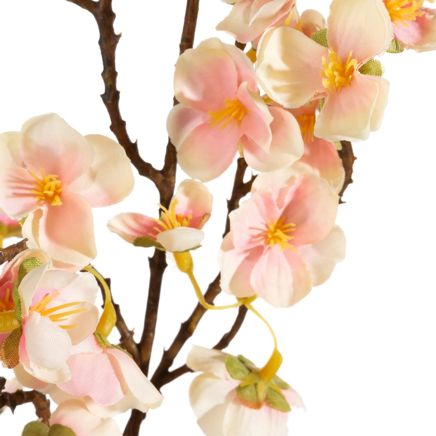 6d80f19aa51d1b1bea434742758b7464