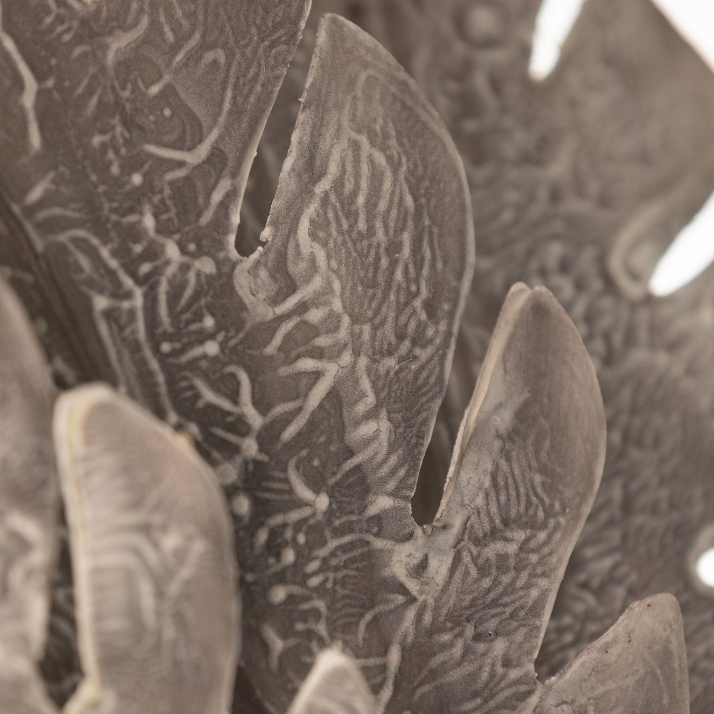 446352230055709a395c72e370dedb1f