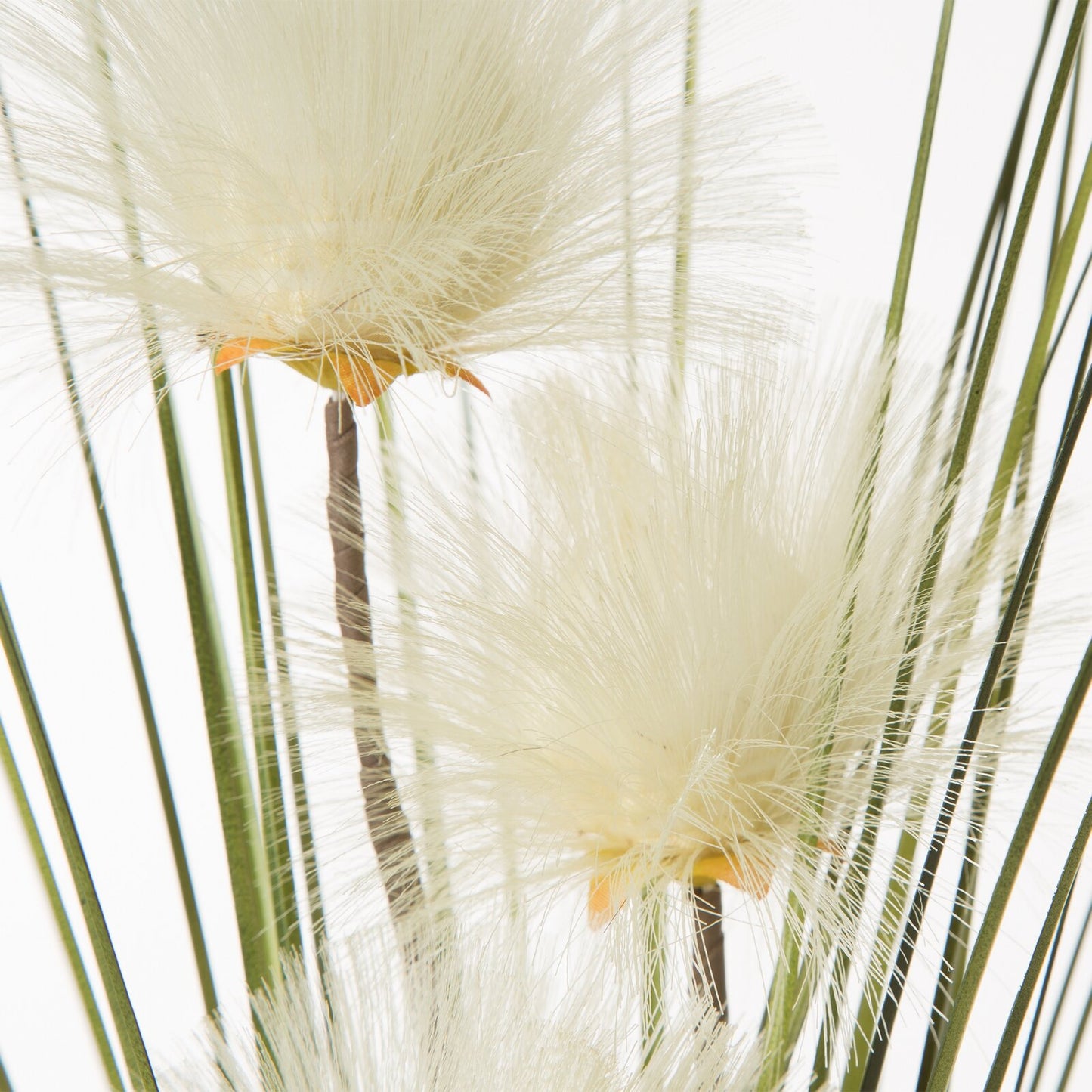 b5af1b7a028992b04236ecc87fc2e986