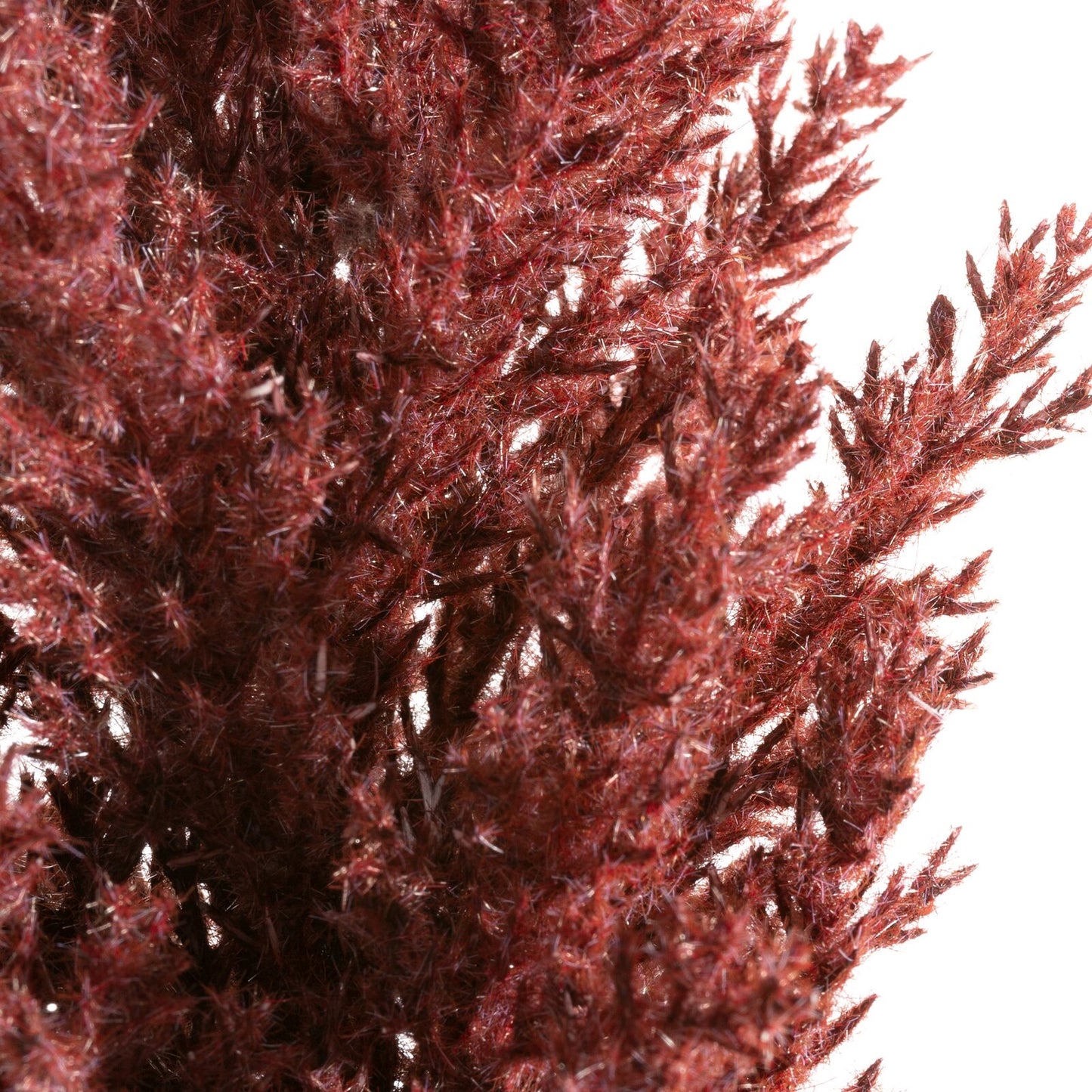 b9fd27b4d1ed613b0c9cfbb635669163