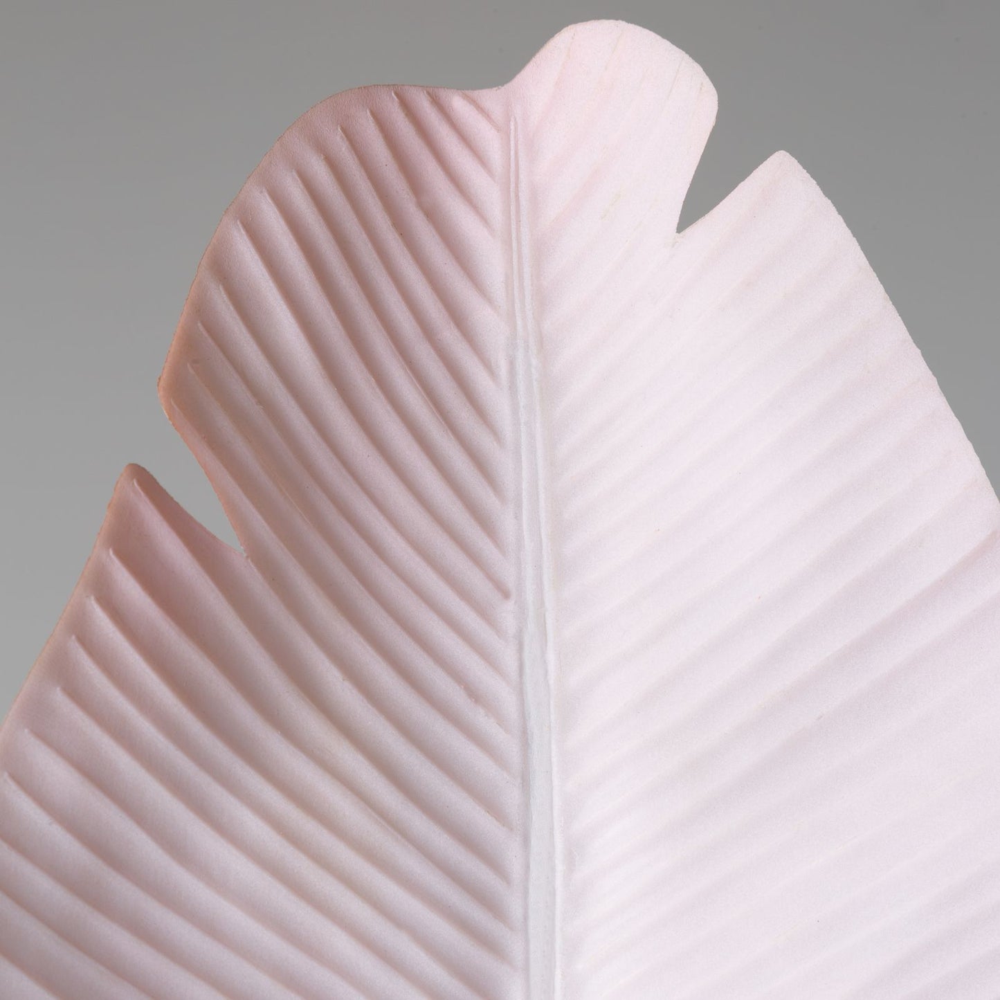 9f1c24c9e2887de29b19af4081e9a770