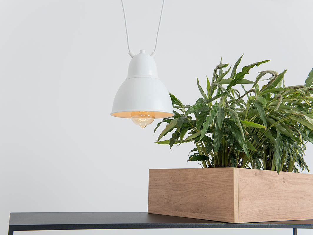 e24c89403083be74876fc7b0c288d411