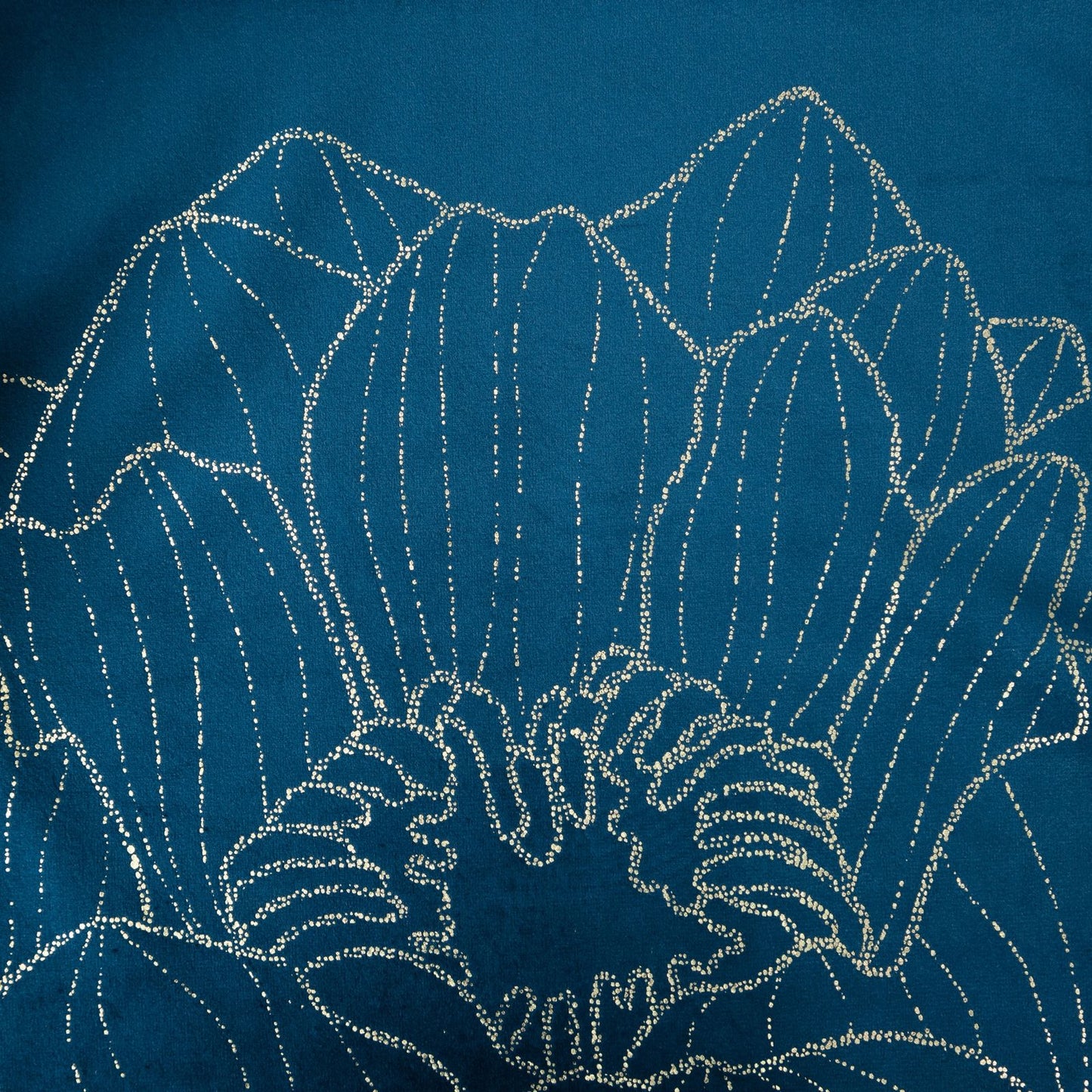 1ee45ff753beea8c41f8b1b00ab0d83b