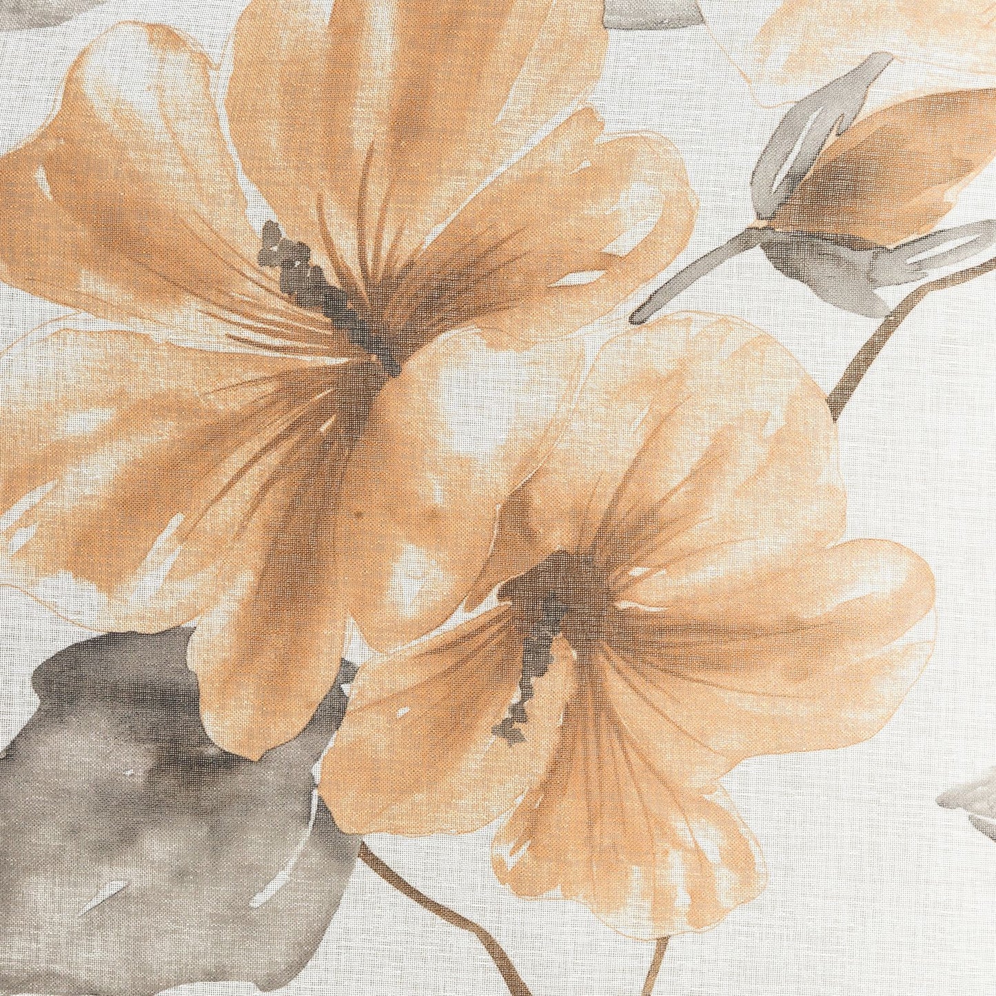 24c1a5d79513487784edf06fd4ddcf43