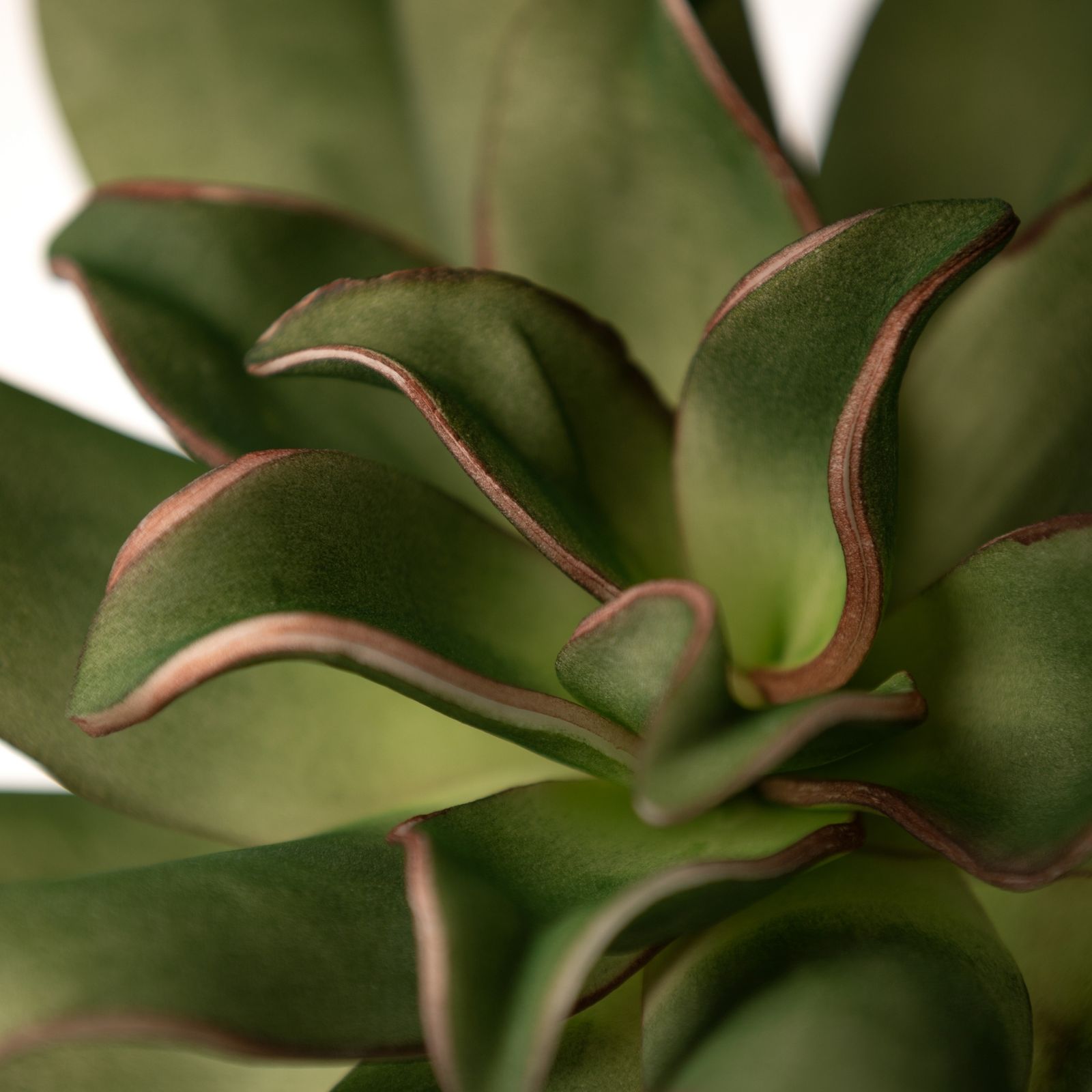 19d95a27daca55e1137e4b8b6df71673