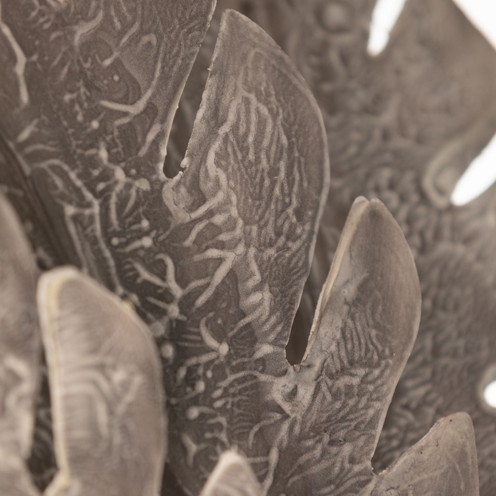 446352230055709a395c72e370dedb1f