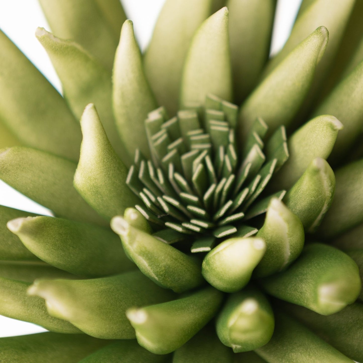 4b48fe6b46c87529efdeb093610c8f91