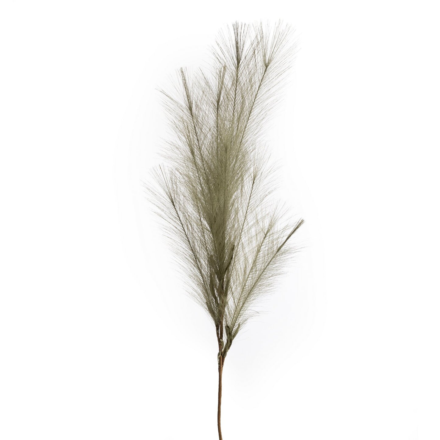 535bdbeeacb927ac1b0746c1623d2c18