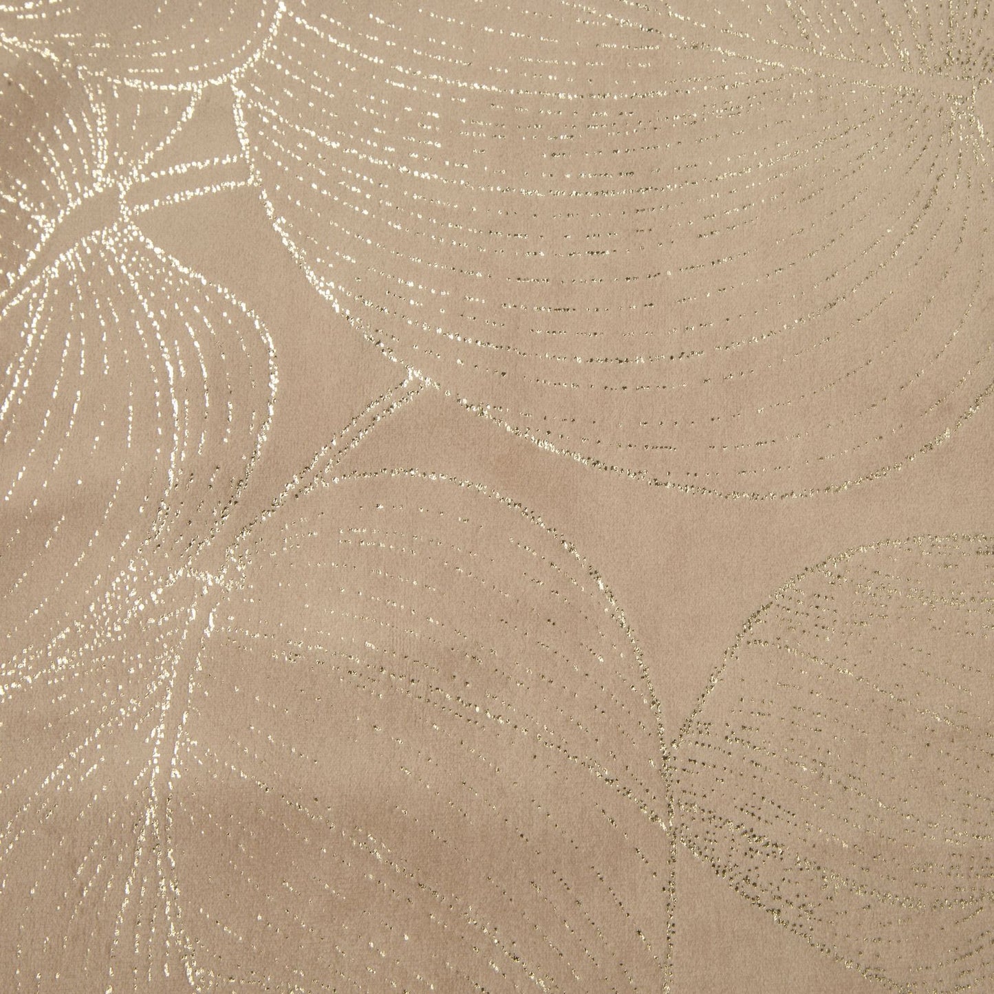 c796c9b1f422f3b9b09e547ffc38b25e