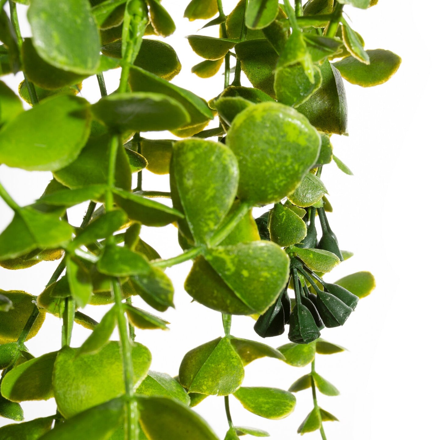 ac555d021f3667b3b1951d6d70b61af4