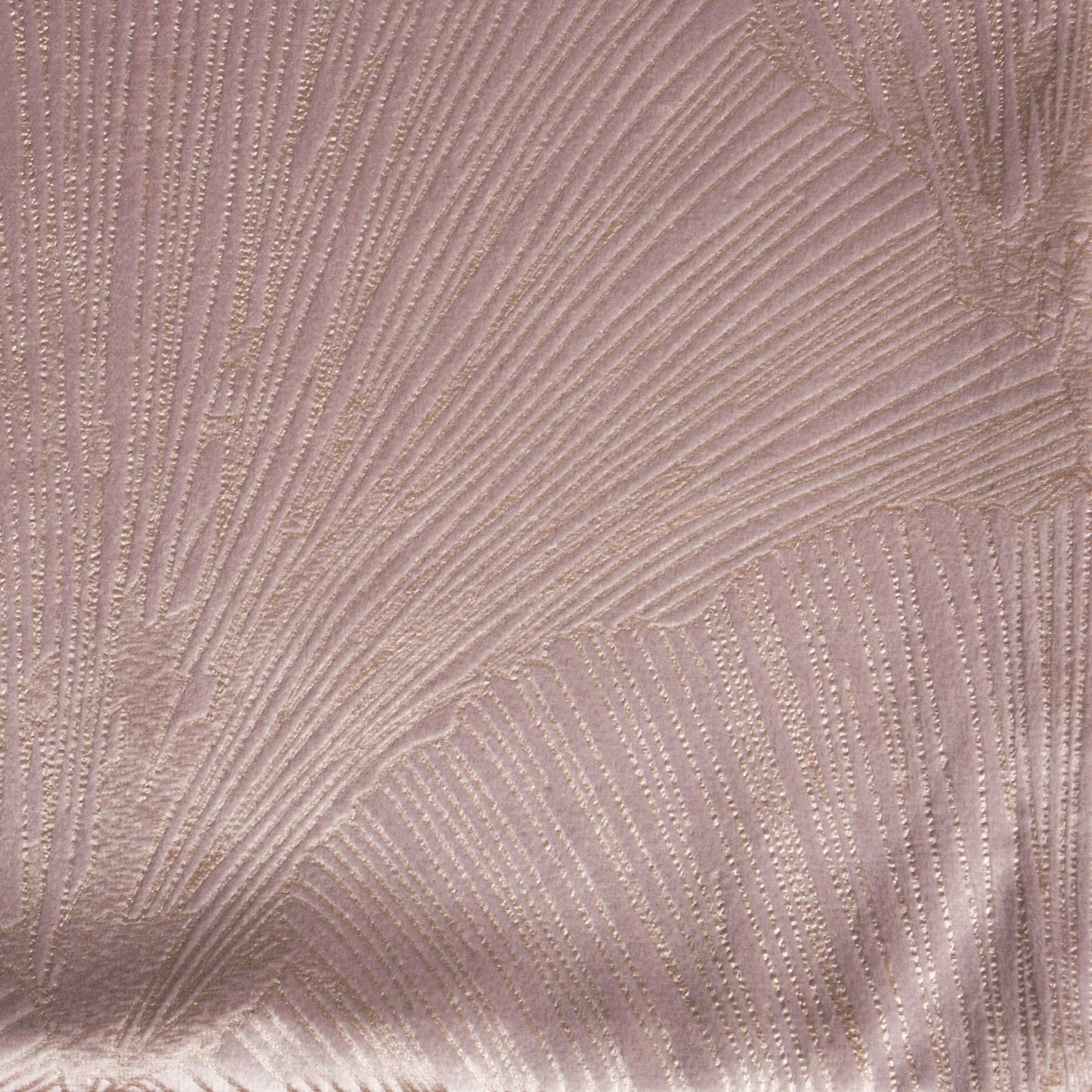 4d62d921e8c85dabe9107adad1ff3c35