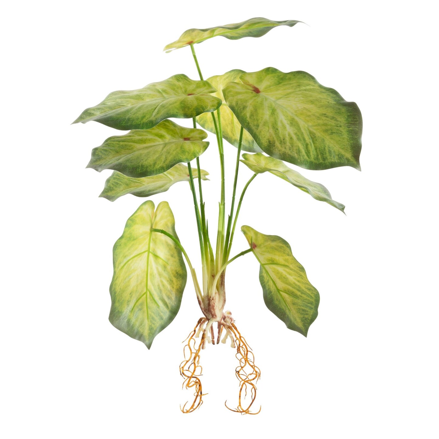 beaacbe3448fd95a1f15e4f49f6fdbb1