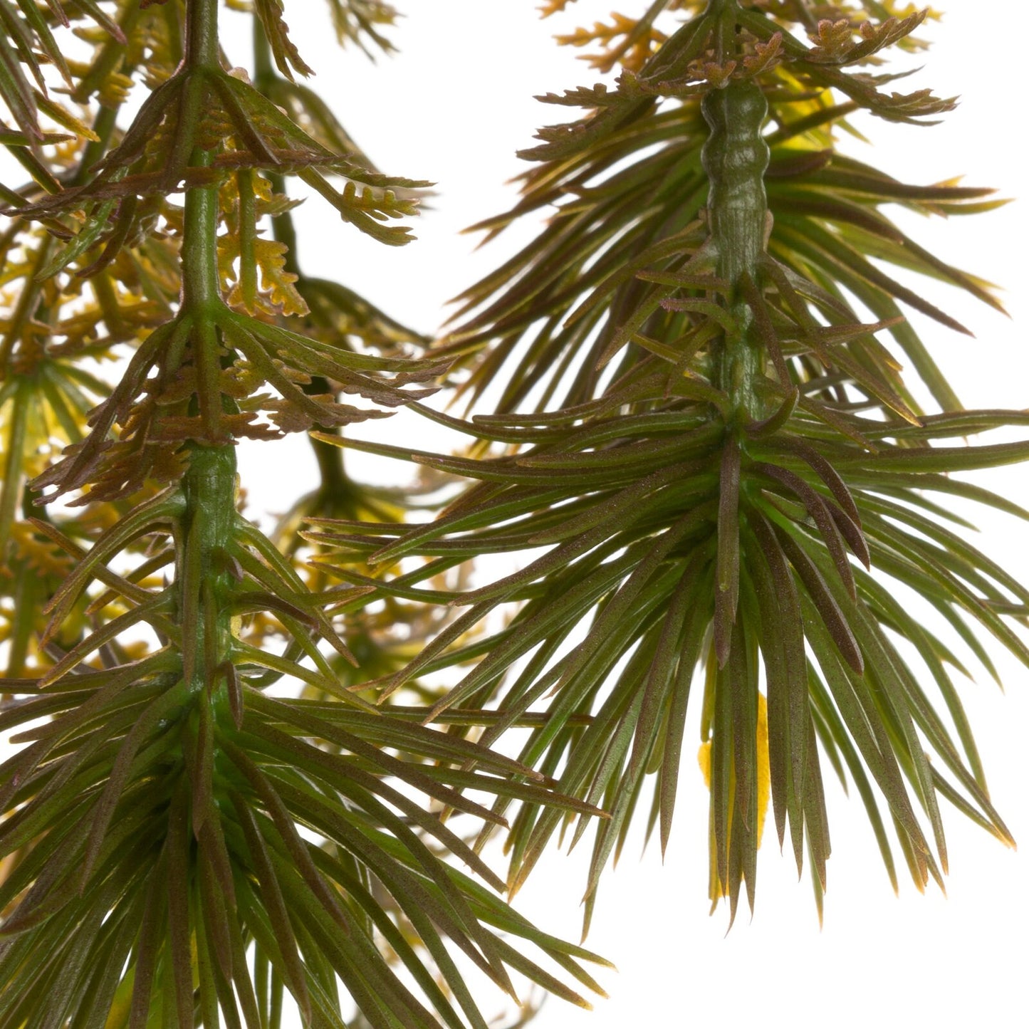 6ef13c2de1cf6f1e395c94754e9018e7