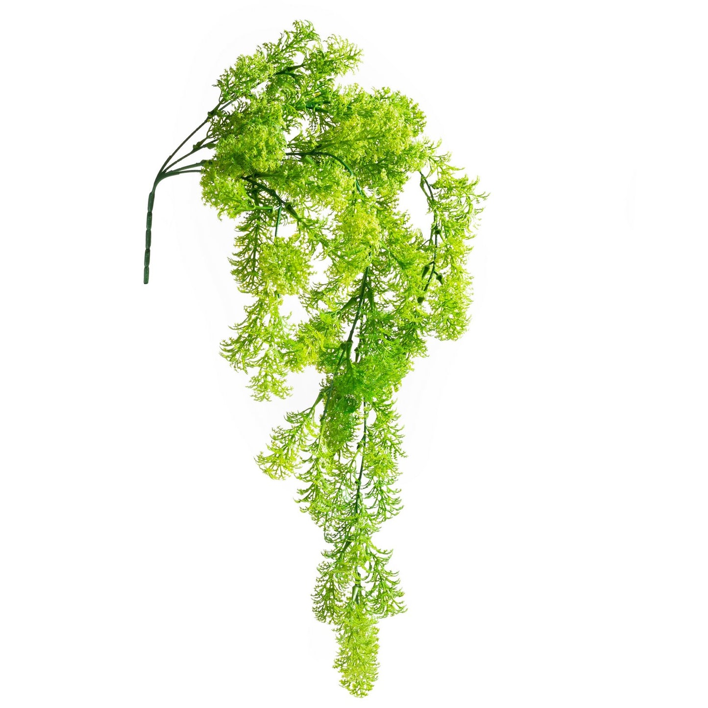 cc0e2d77f43ee792fca0fcf271913736