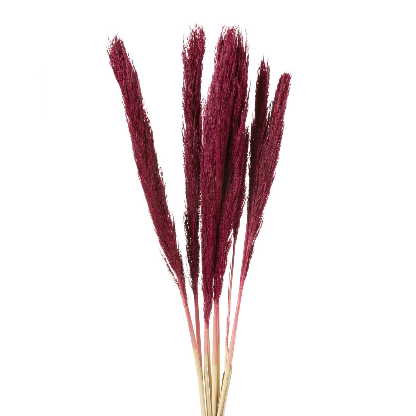 dfa45353035b62c11b68c5c7d665a6f5