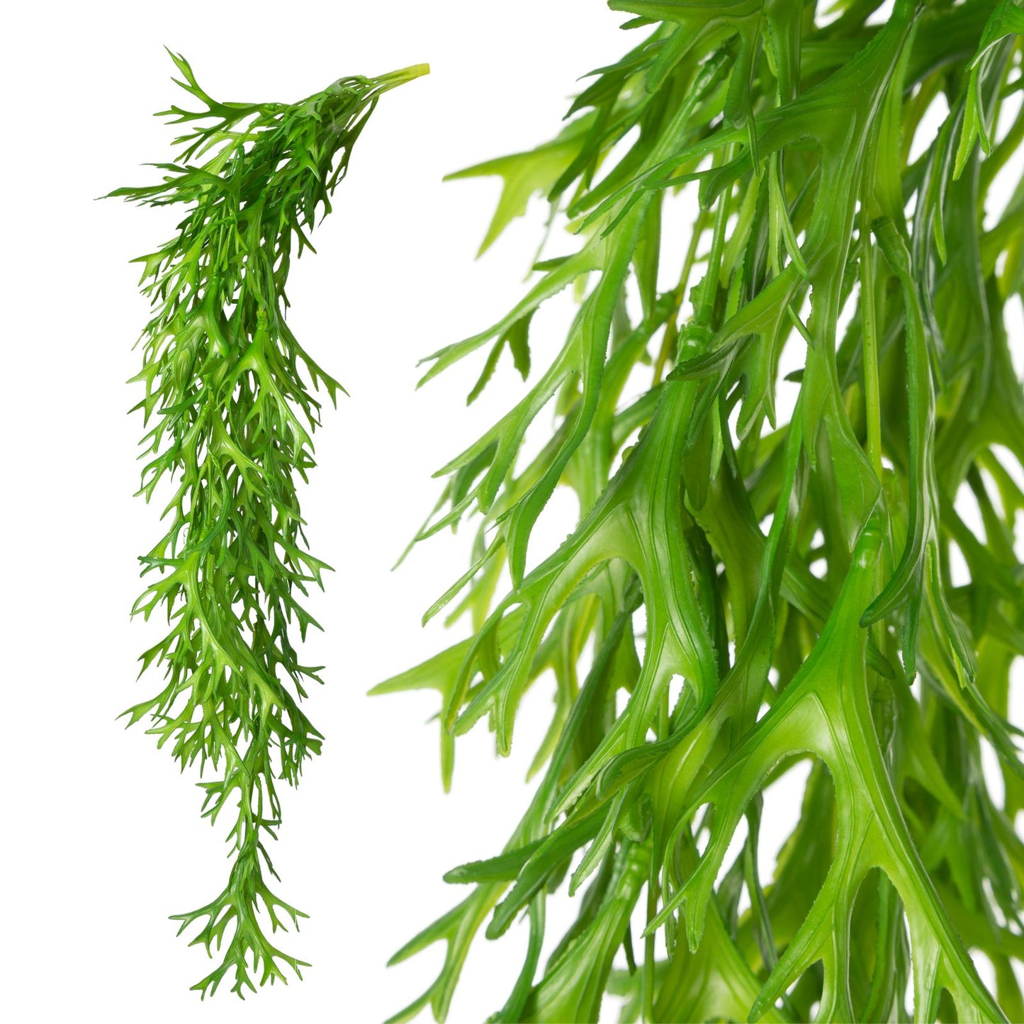 594ab02abef59f518de624a7544d890b