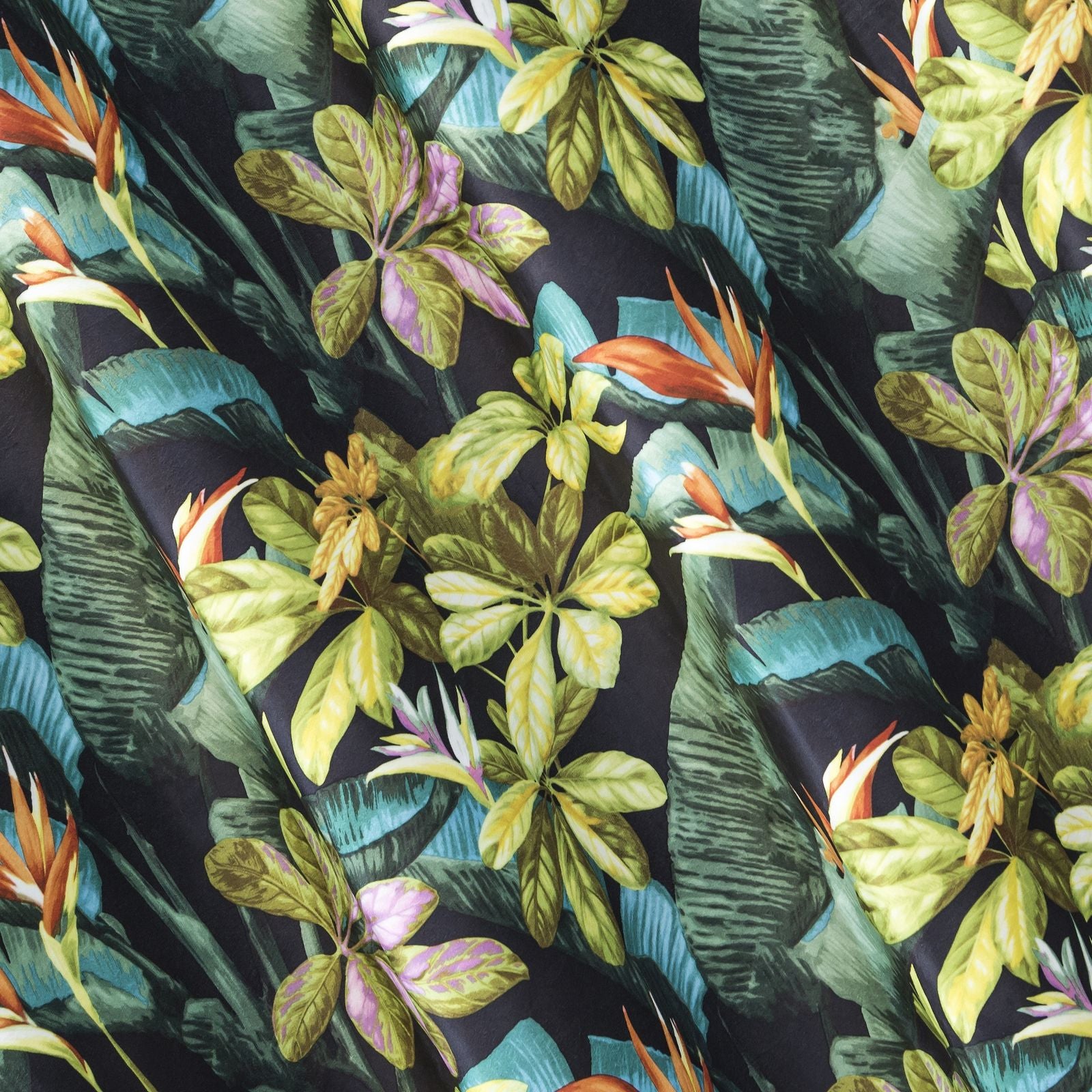 e8f3de145d4cf3323b38184fc74ed08c