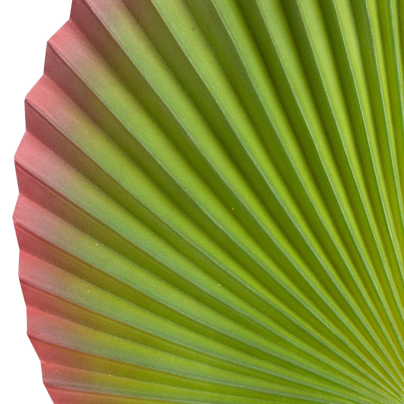 492ad0e164a1d5bee9790196672905b1