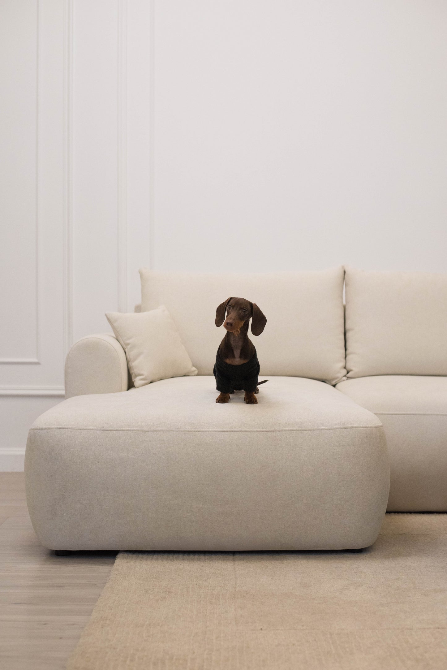 Dīvāns Ovors mini 239/93/156 cm Storm 02 - N1 Home