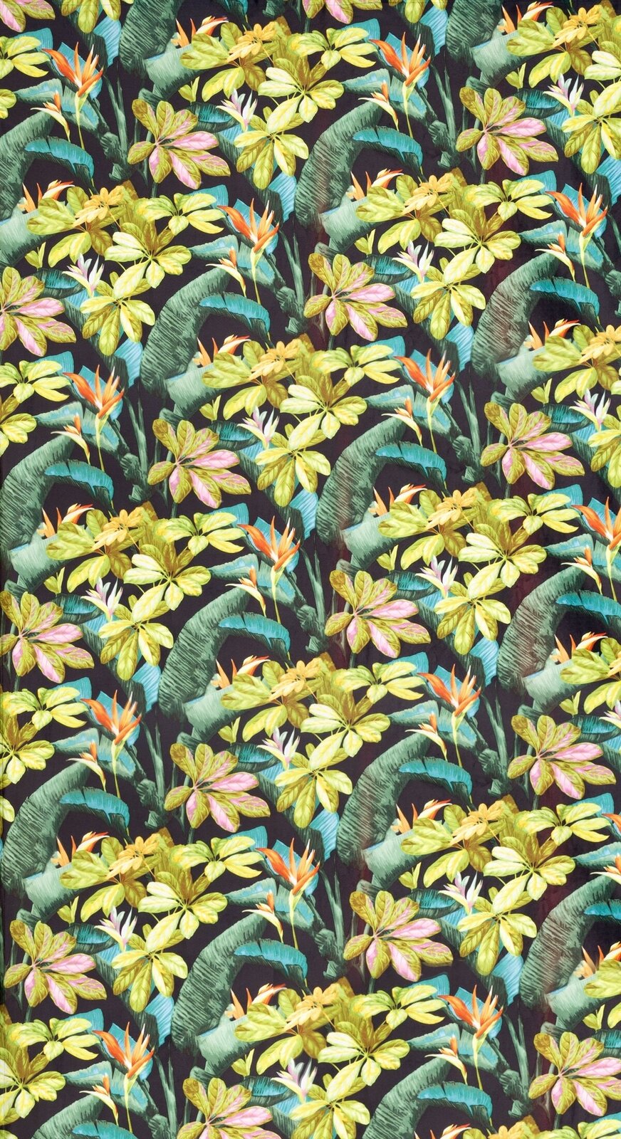 f0817df2dd90c1bd2040ad04eacd1713