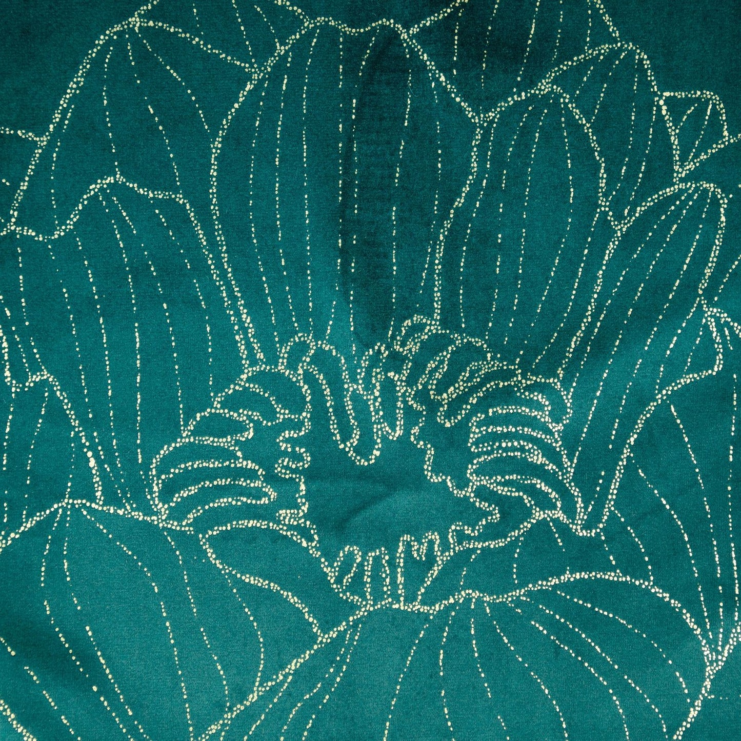 af96de6a97113a7834eb4b2d9cdf76ba