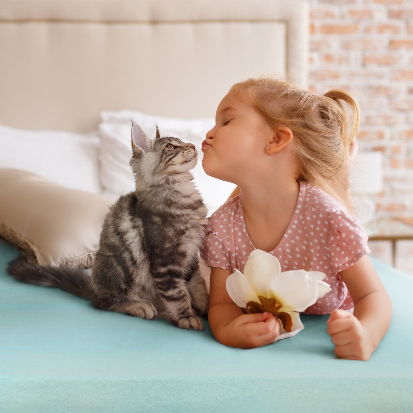 47cd22ae3133a17fc4ab94be36f5fe8e