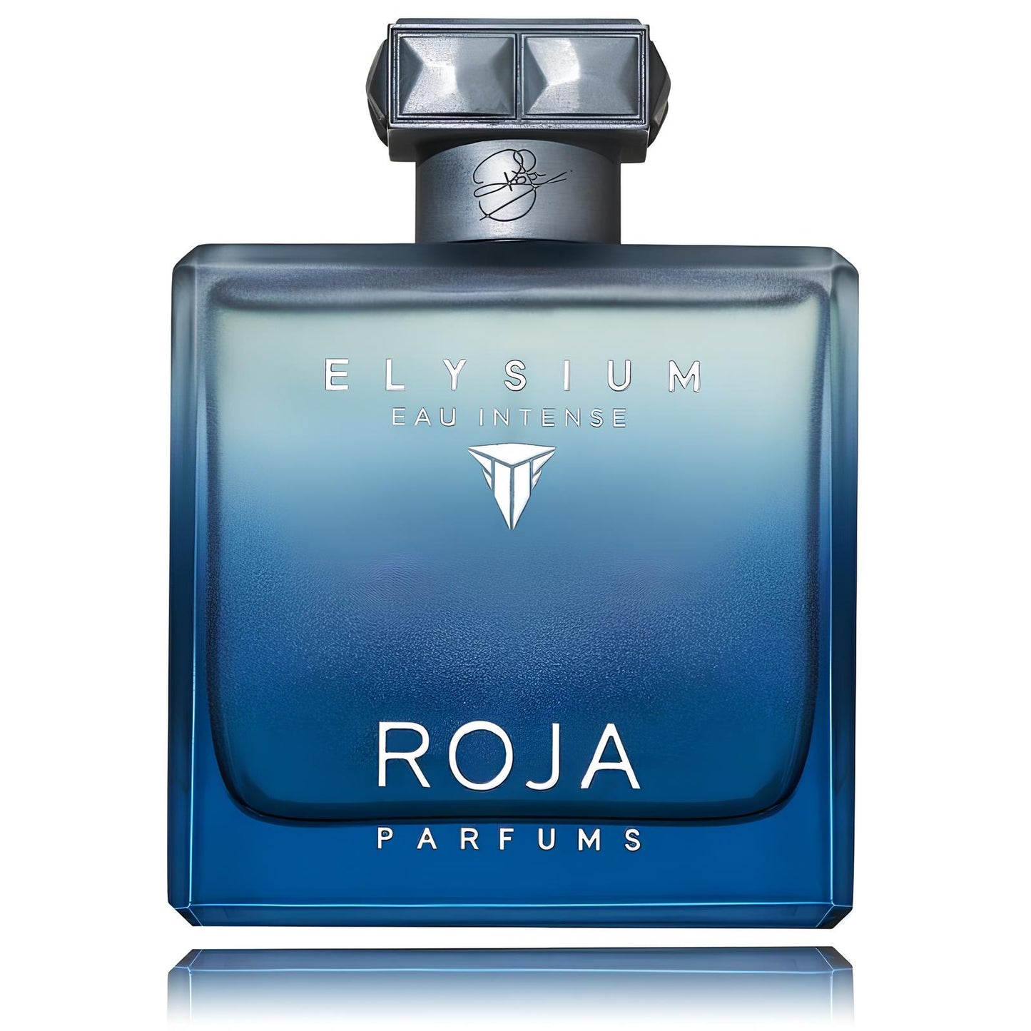 Roja Parfums Elysium Eau Intense EDP M 100 ml
