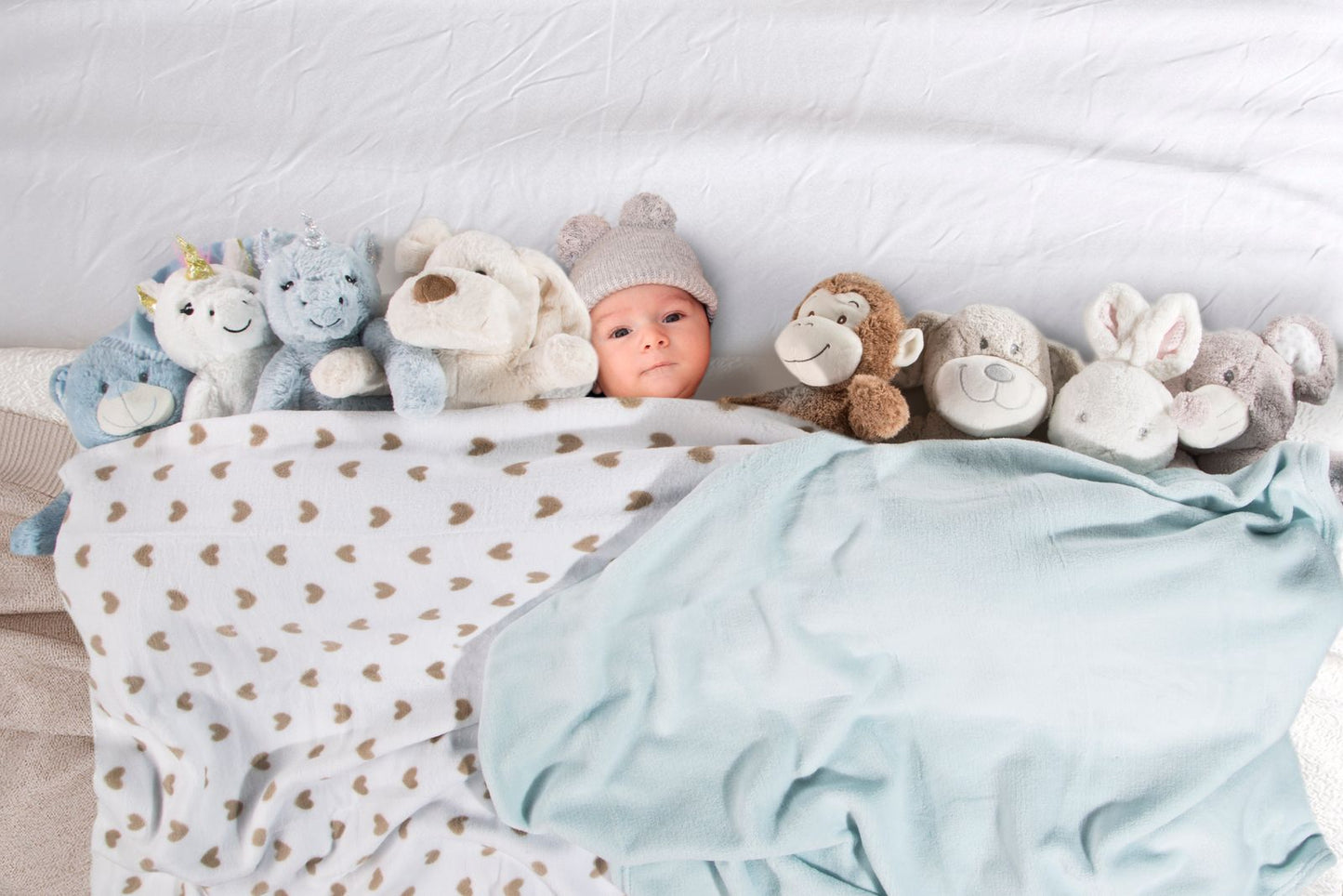 ef27fa5ded765898fd62e865bc4f4c07