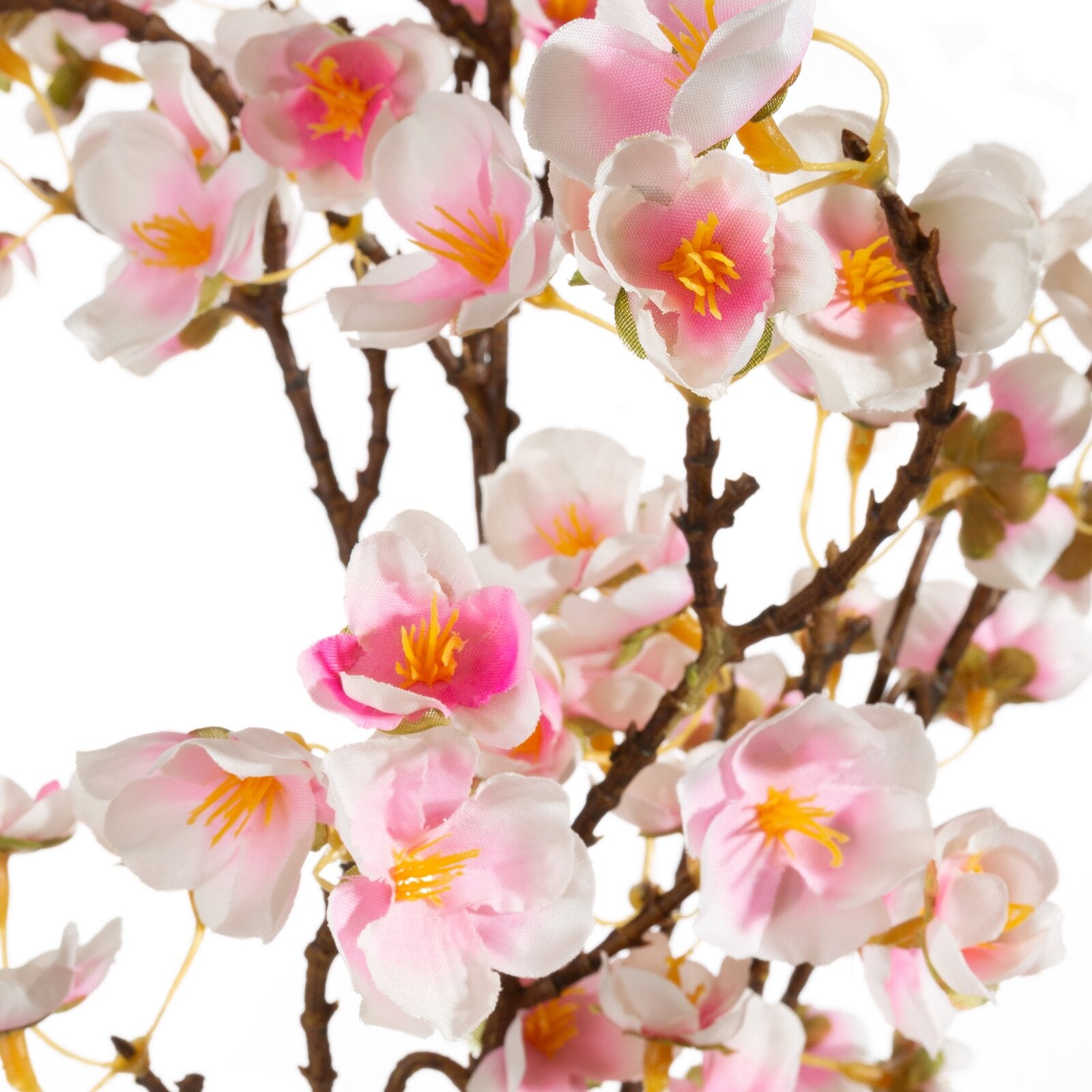 64c3ed1df7ccaa7eade7653668eda0cd