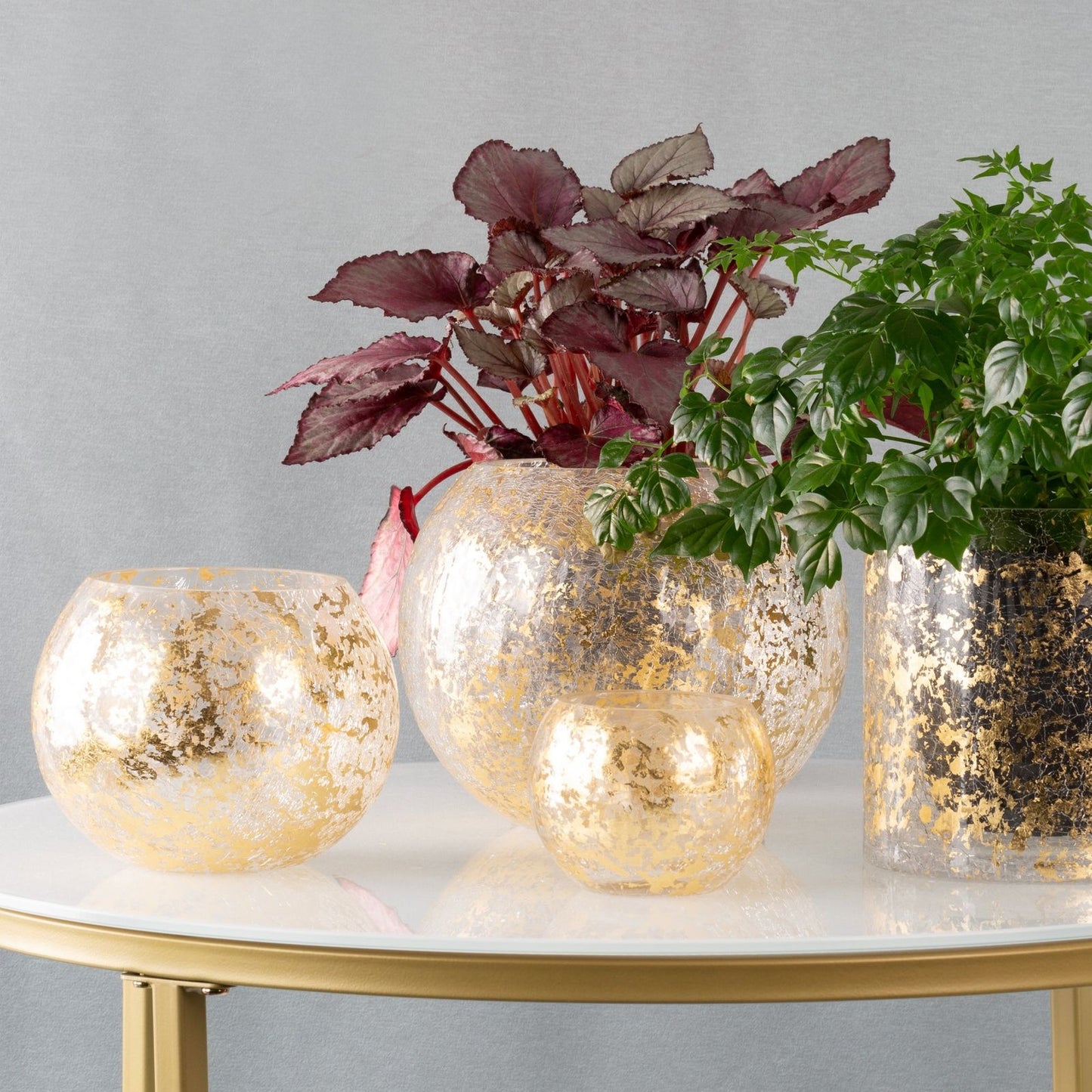 a3054984dc2b3a70b52e7fd73d0823a4