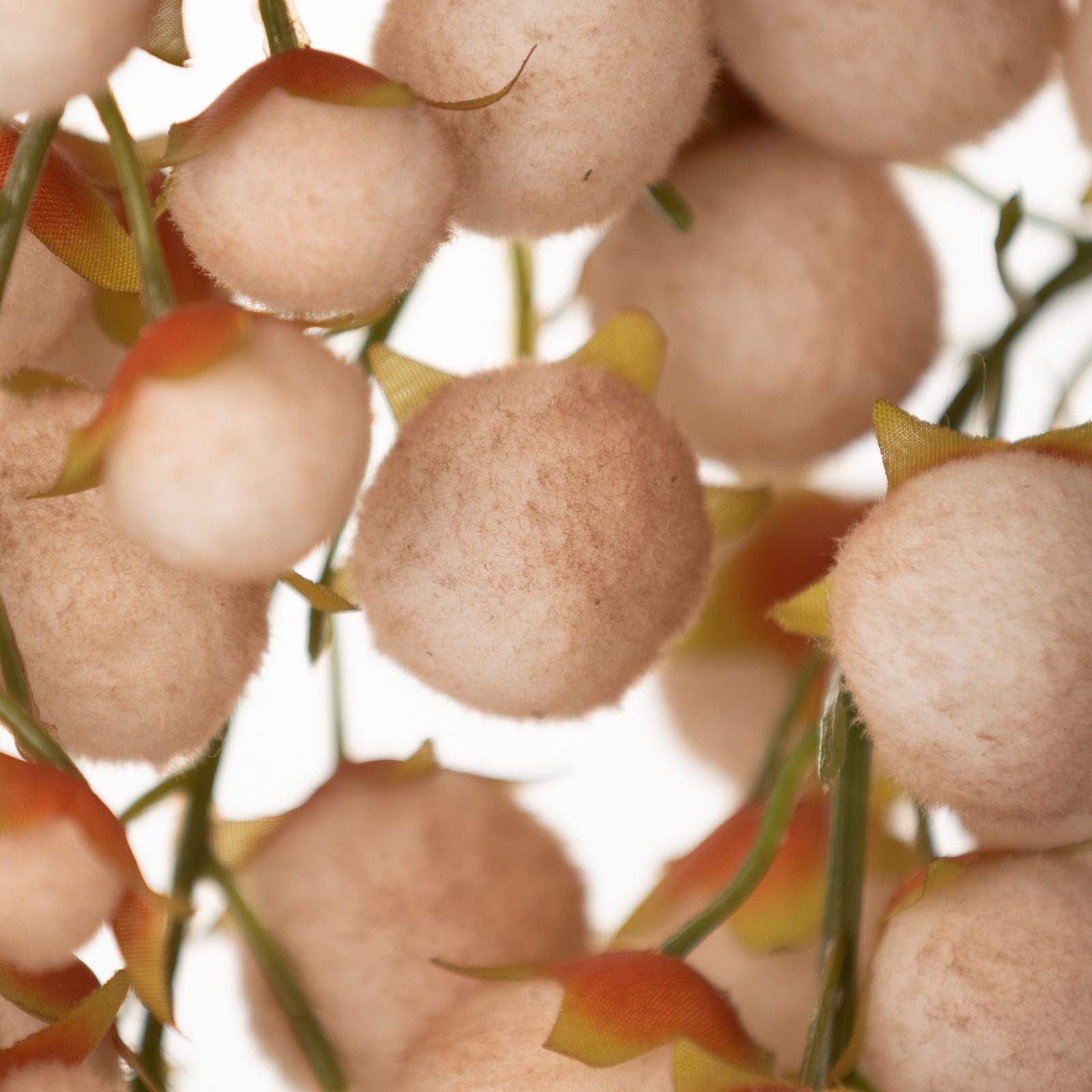 3d9074f07c7da98bd5818e30732cd6ff