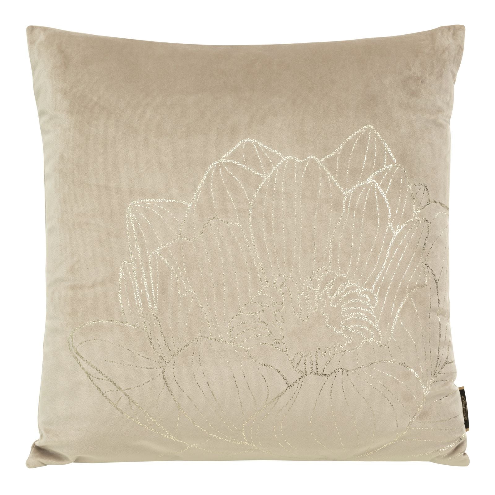 0f2152fca2fb476ca4c1742f9bbeb0f1