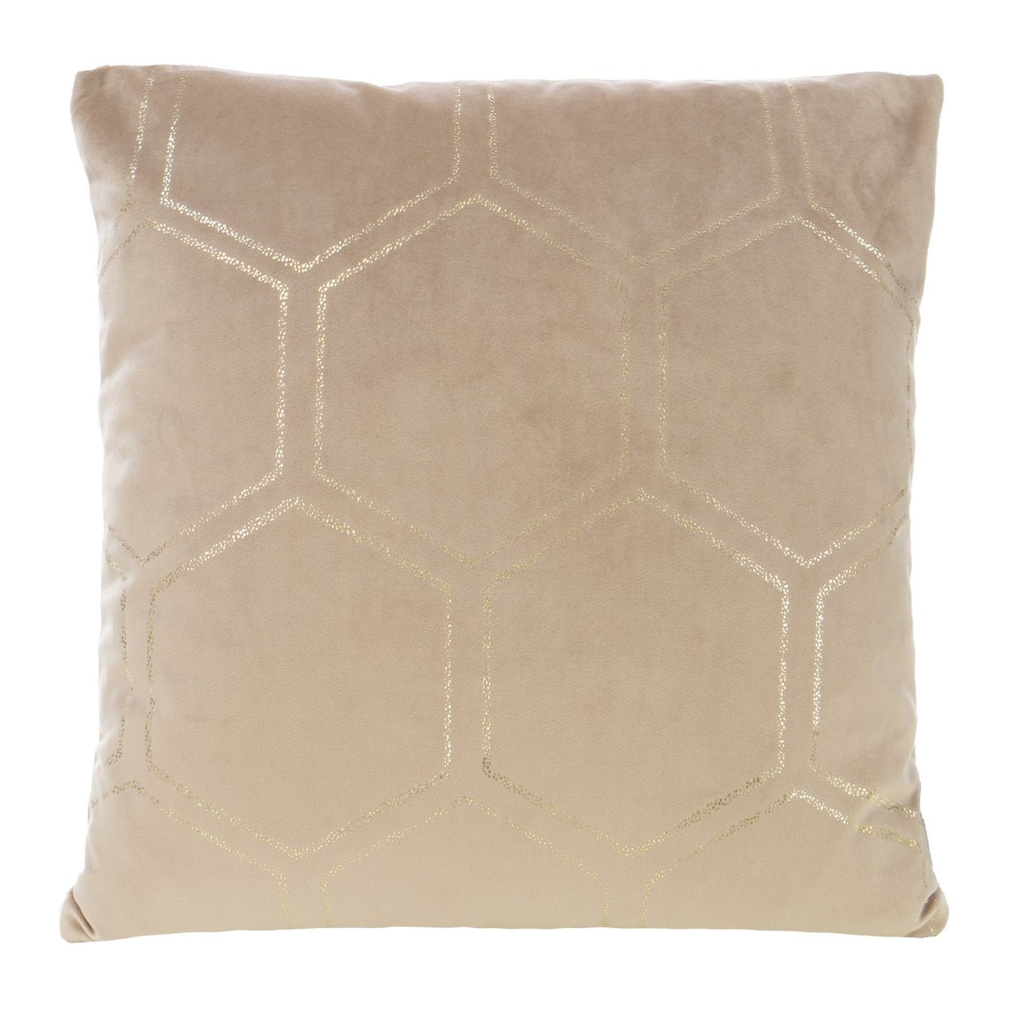 6d8c44cc73151e2514fb449c84c2edc7