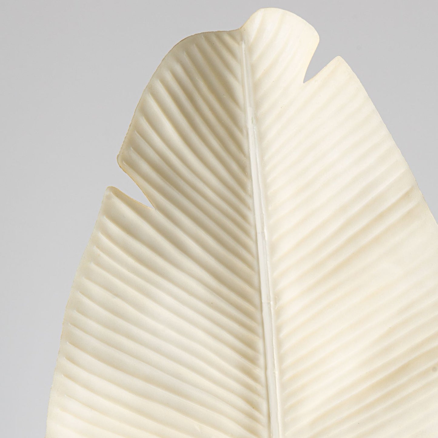 c67ff96f4cb5c11354ecf15360c8844b