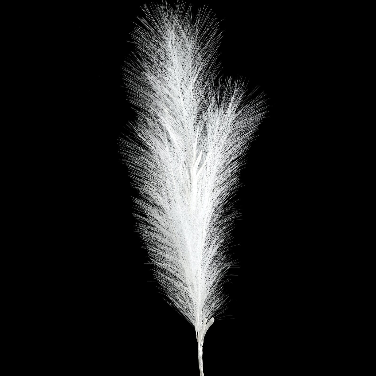 60e335940d46183dbec6f68b4b6d0e40