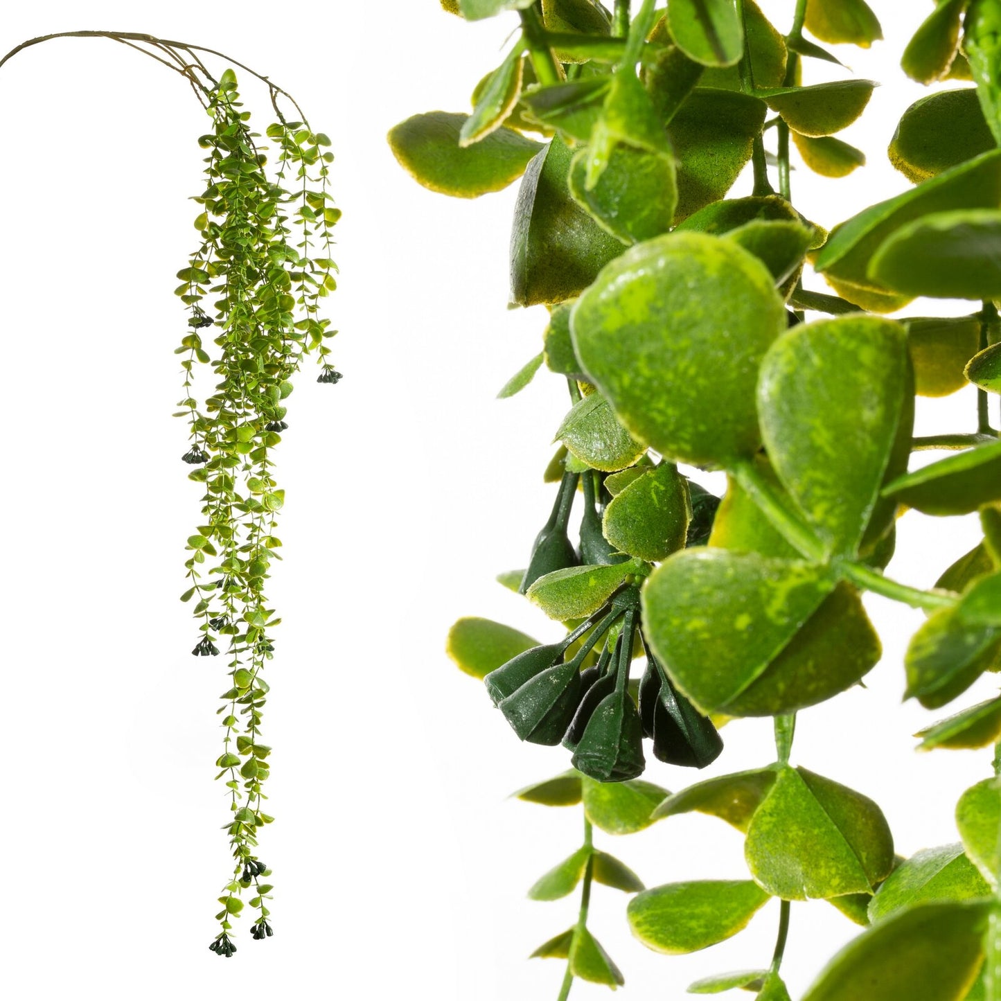 5fd9b29d4be288bf5631d53d5fa57277