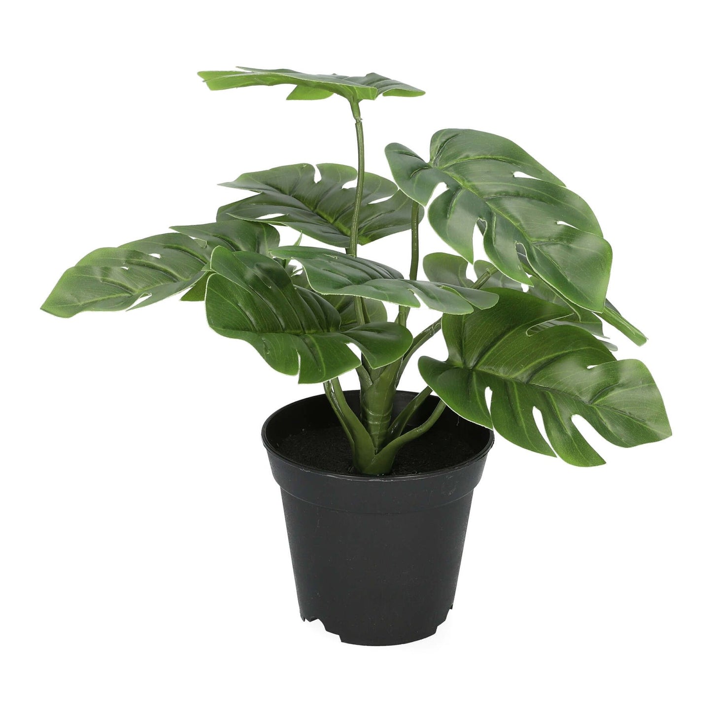 Mākslīgais augs MONSTERA 29 cm - N1 Home