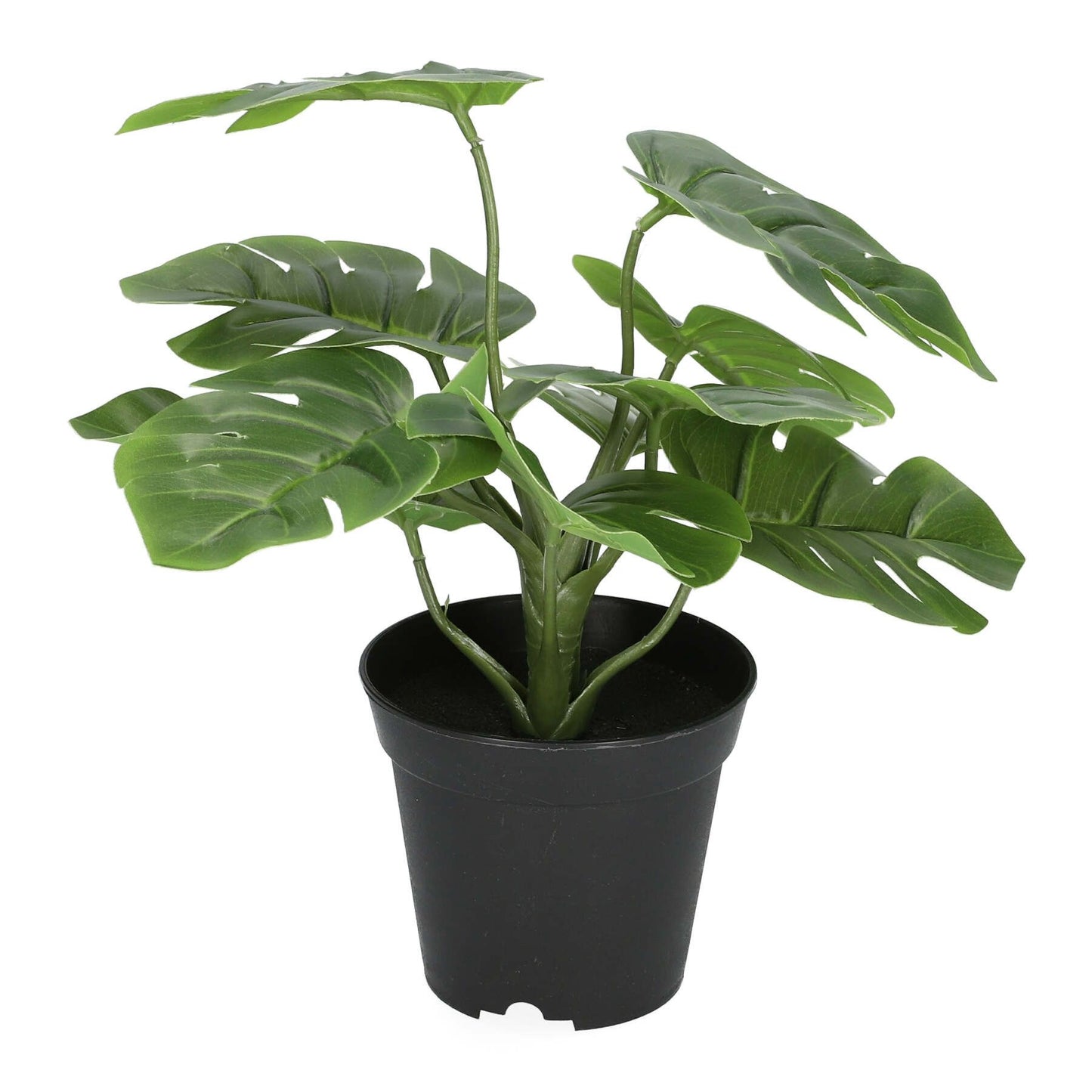 Mākslīgais augs MONSTERA 29 cm - N1 Home