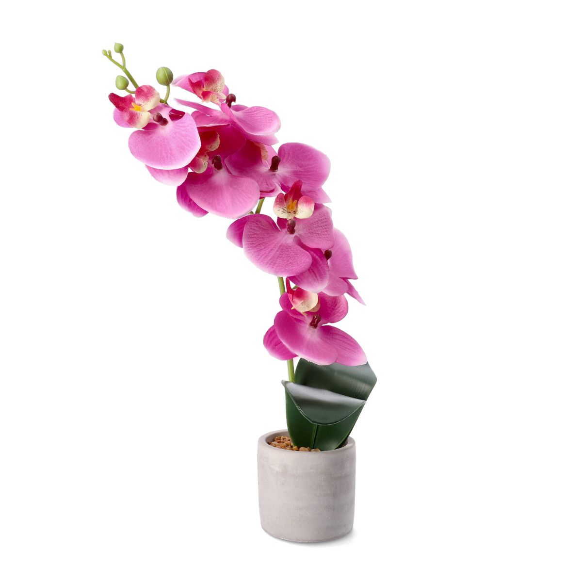 Orhideja ORCHID mākslīgā rozā 9x8x49 cm - N1 Home